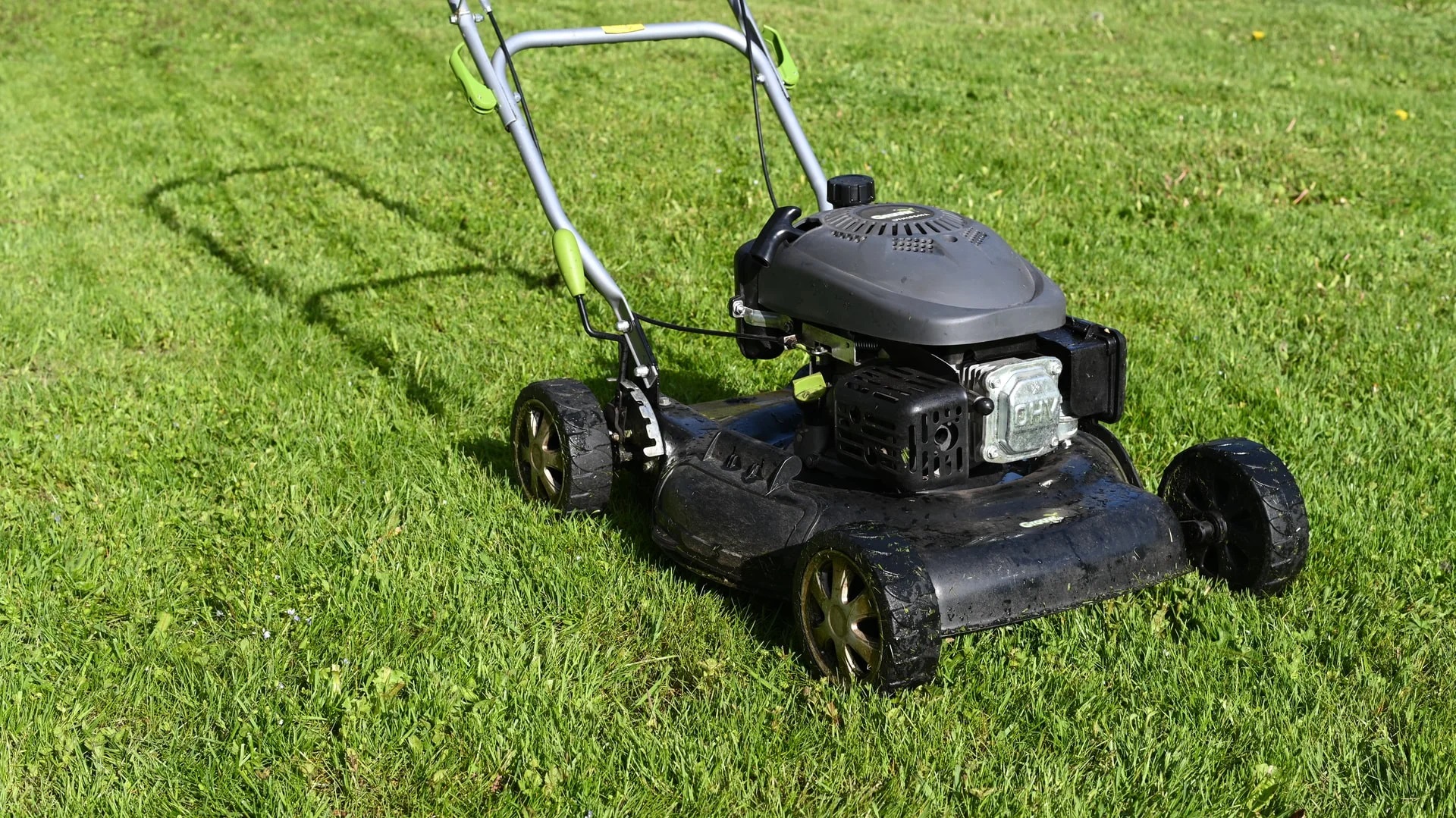 Which lawn mower blades really leave the best cut?